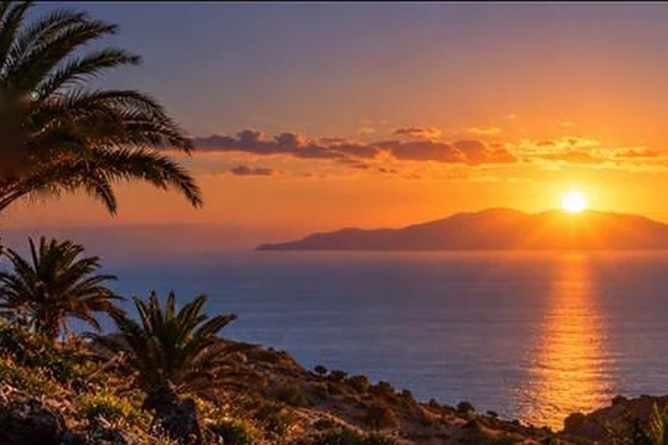 La Gomera at sunset across the sea, with palm trees in the foreground