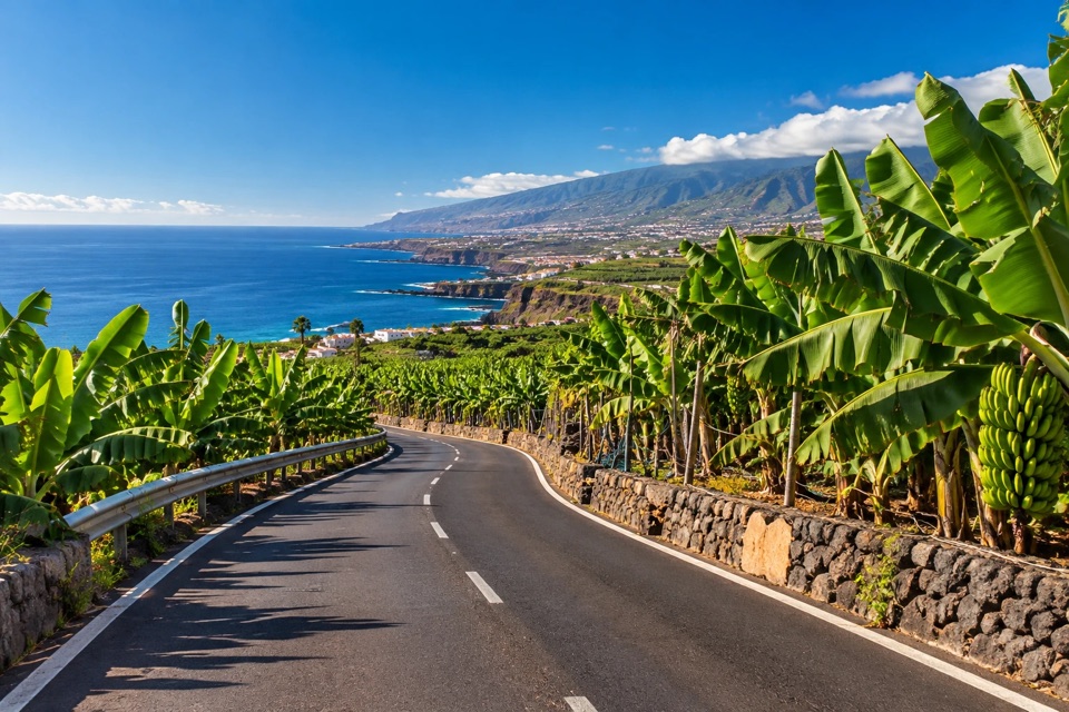 A winding road between banana plants and stone walls, with the sea in the distance