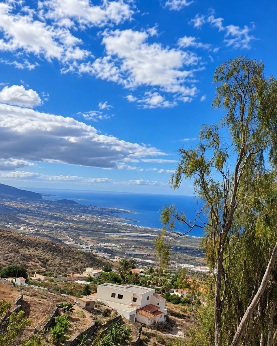 The south coast of Tenerife seen from above, with a tree in the foreground and blue sky